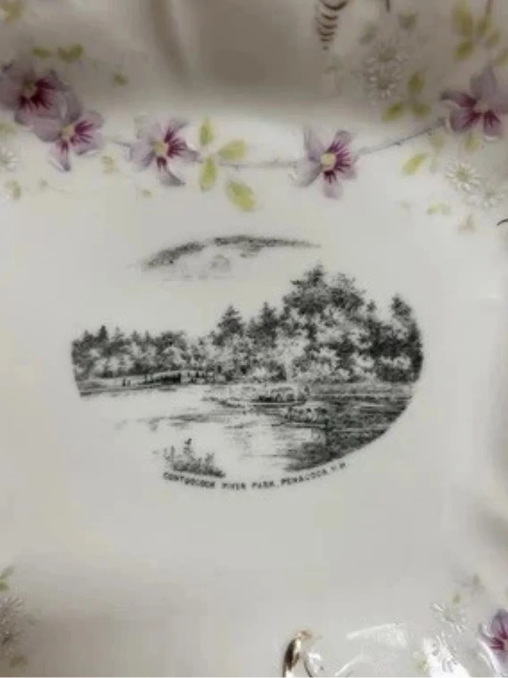 Antique W.W. Allen Penacook NH Serving Dishes Set Of 2 Transferware Germany